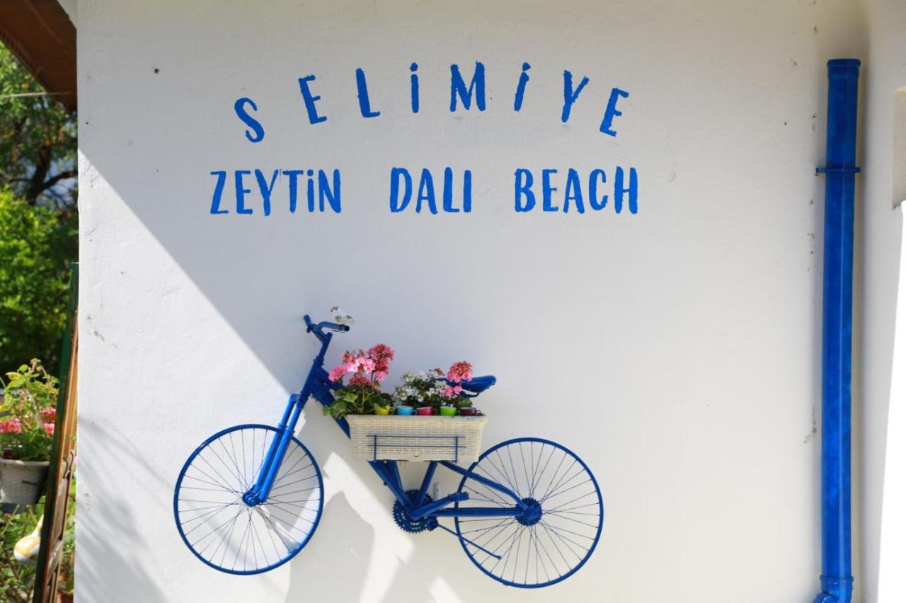 Zeytin Dali Butik Otel เซลิมิเย ภายนอก รูปภาพ